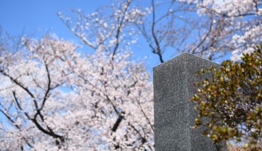 桜の木と墓石