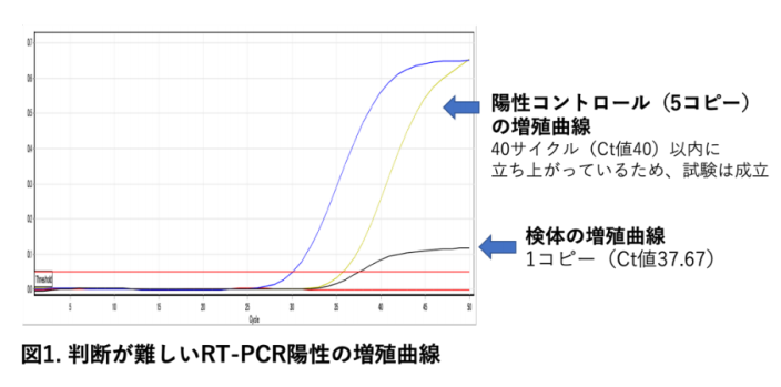 RT-PCR陽性の増殖曲線