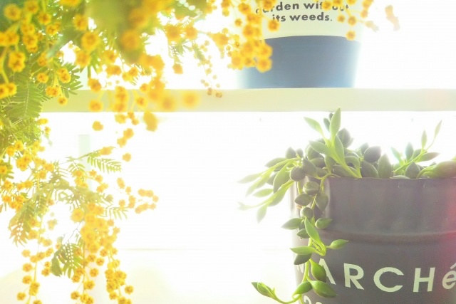 定年後に理想的な生活を送るための5つの視点 家族 健康 趣味 仕事 住居 Goldenyears